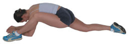 hip flexors and gluts stretch