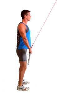 lower down - keeping your back and arms straight