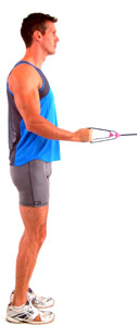 finish with elbows tucked into your sides