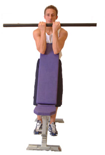 keep your elbows and triceps in contact with the bench