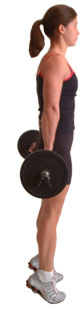 lift the weight with your calfs