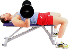 aim to keep your arms bent at 90 degrees throughout