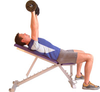 keep your head and back in contact with the bench