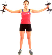 keep your arms parallel to the floor - then rotate the weights