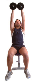 extend the weights up above your head