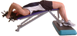 lower the weights behind your head - keep elbows tucked in