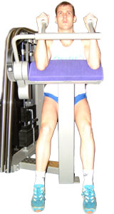 start with your elbows shoulder width apart